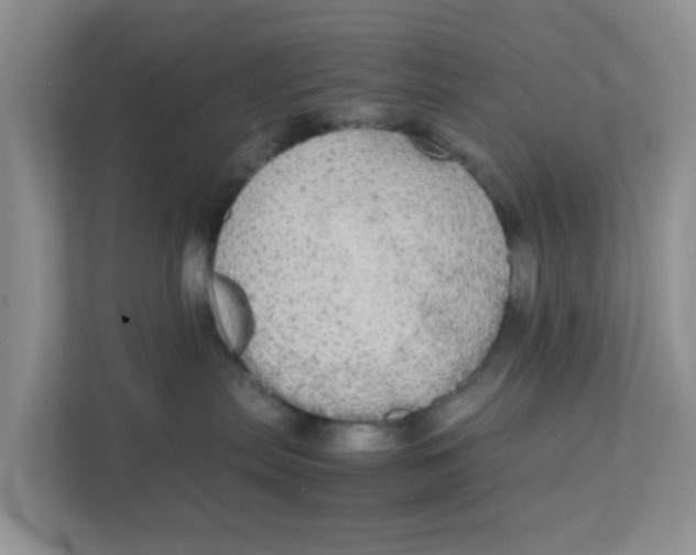 X0000111860287200908131505