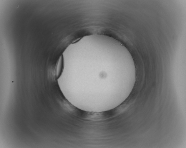 X0000111860288200908131505