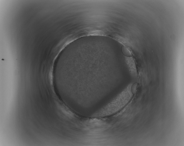 X0000111860290200908131505