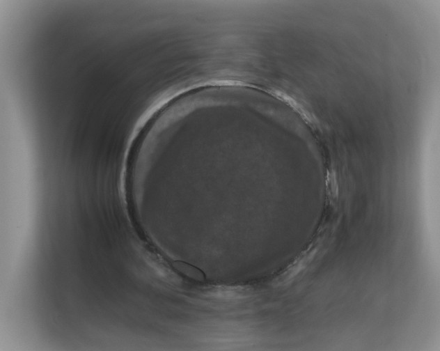 X0000111860292200908131505