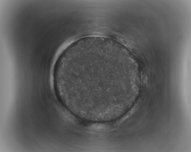 X0000111860294200908131505