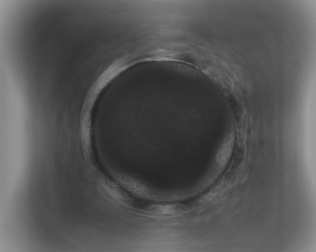 X0000111860295200908131505