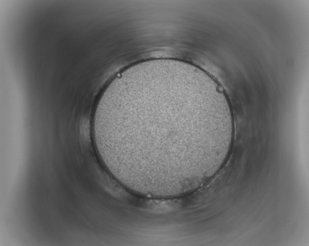 X0000111860297200908131504