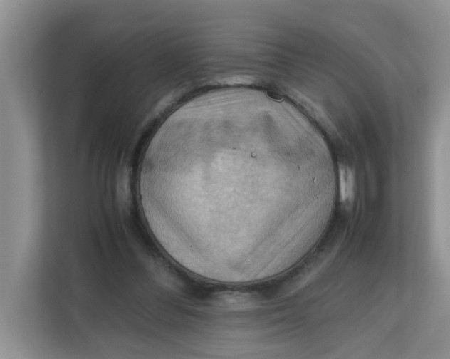 X0000111860300200908131504