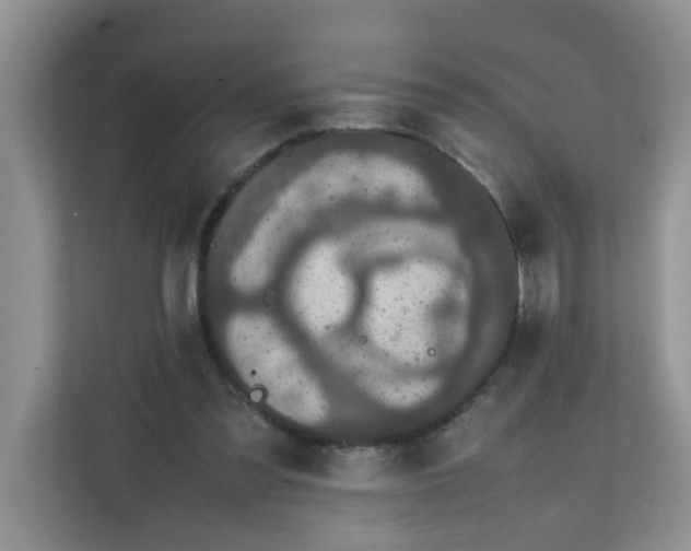 X0000111860301200908131504