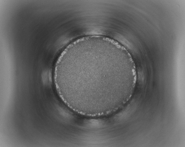 X0000111860302200908131504