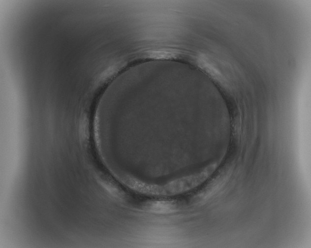 X0000111860303200908131504