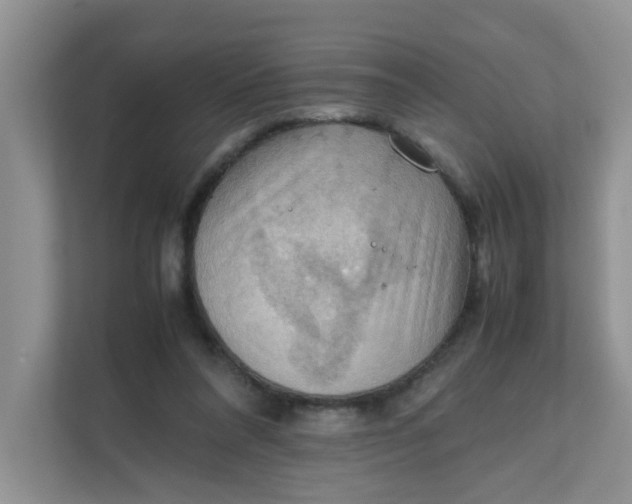 X0000111860304200908131504