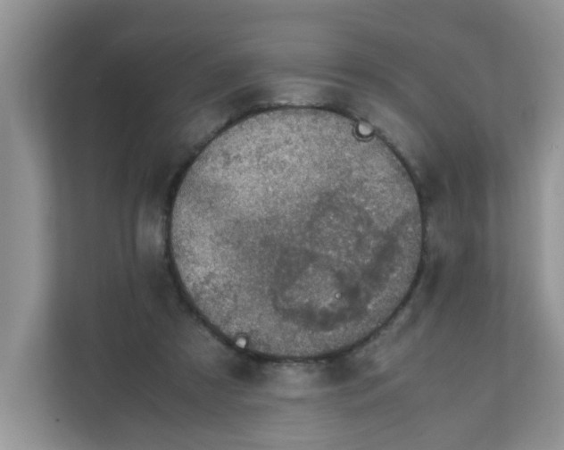 X0000111860305200908131504