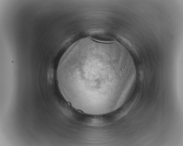 X0000111860308200908131504