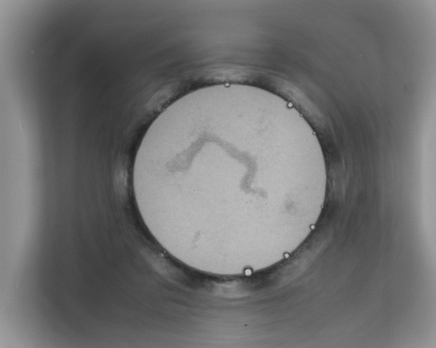 X0000111860309200908131504