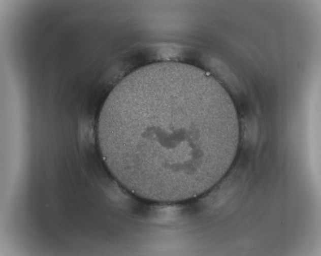 X0000111860313200908131504