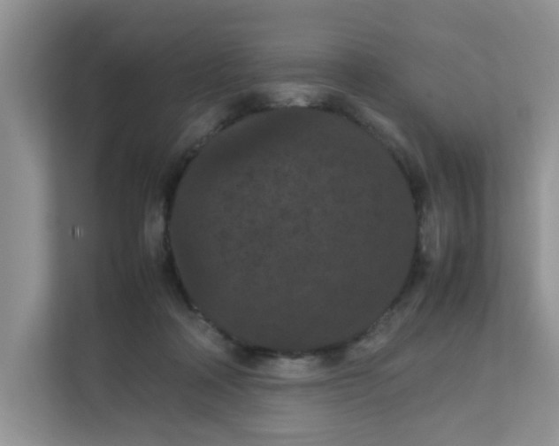 X0000111860314200908131504