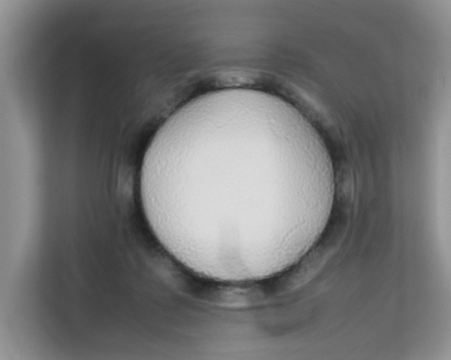 X0000111860315200908131504