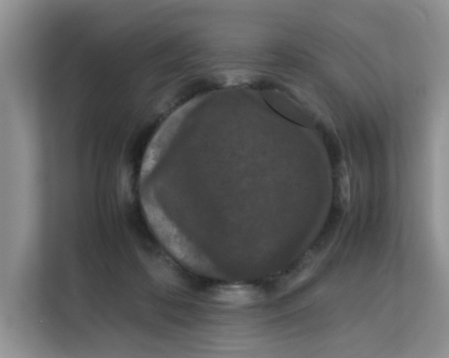 X0000111860316200908131504