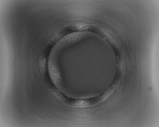 X0000111860319200908131504