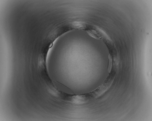 X0000111860320200908131504