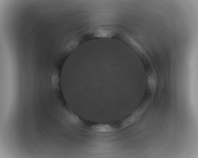 X0000111860322200908131504