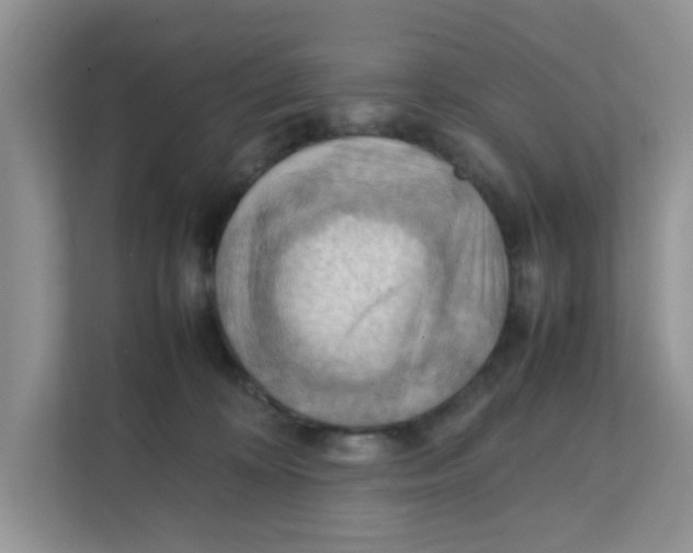 X0000111860324200908131504