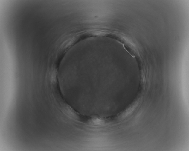 X0000111860325200908131504