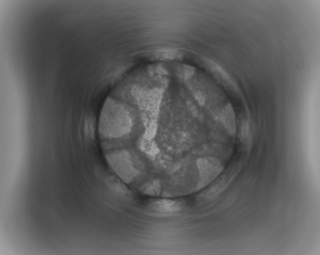 X0000111860326200908131504