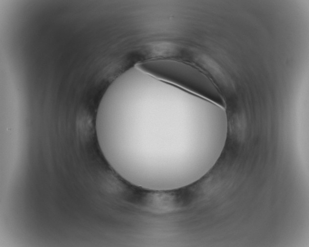 X0000111860327200908131504