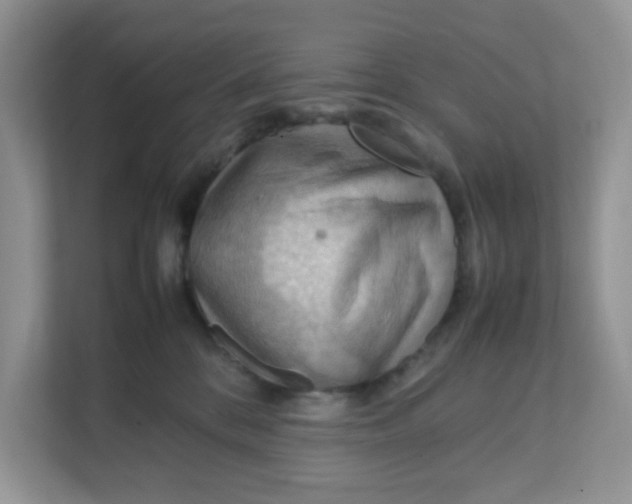 X0000111860328200908131504