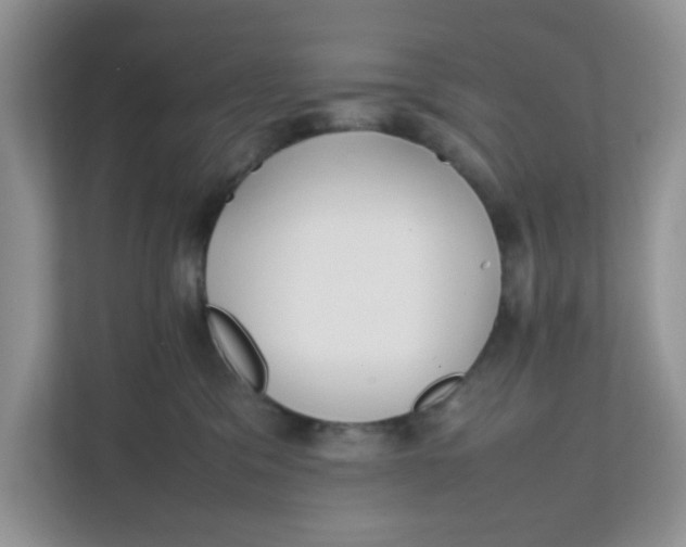 X0000111860329200908131504