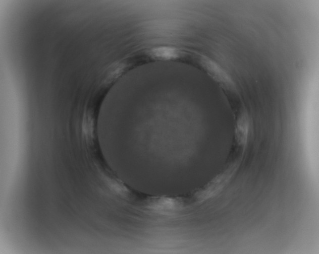 X0000111860330200908131504