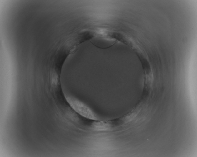 X0000111860331200908131504