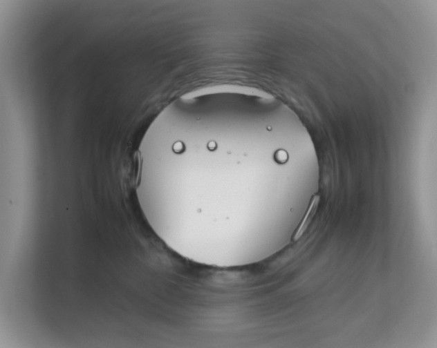 X0000111860332200908131504