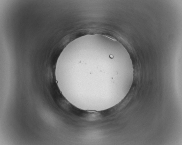 X0000111860333200908131504