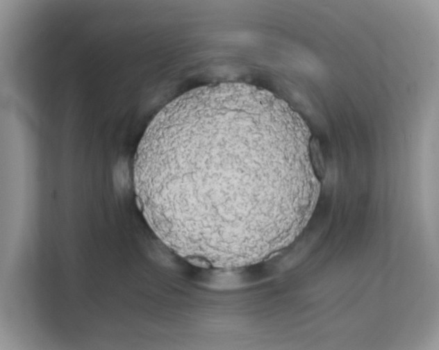 X0000111860335200908131504