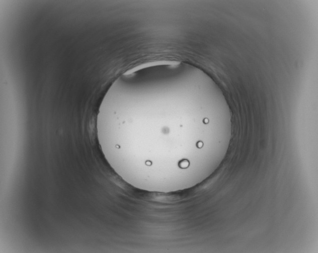 X0000111860336200908131504