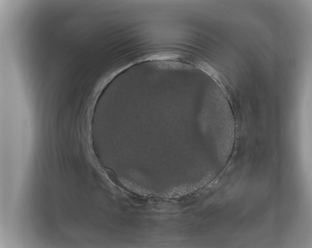 X0000111860337200908131503