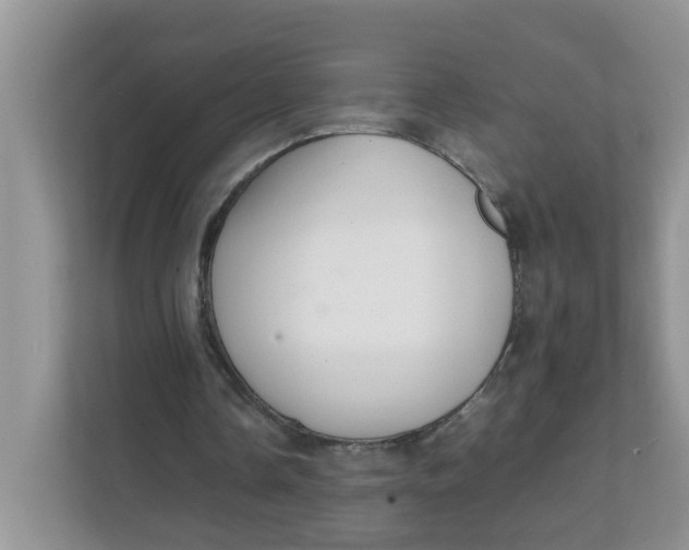 X0000111860338200908131503