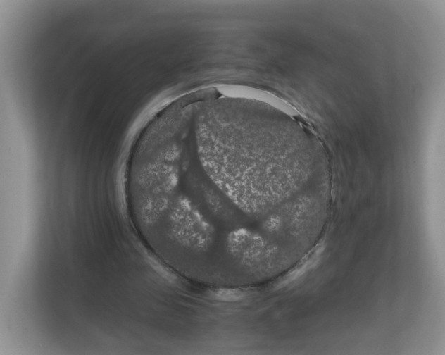 X0000111860341200908131503