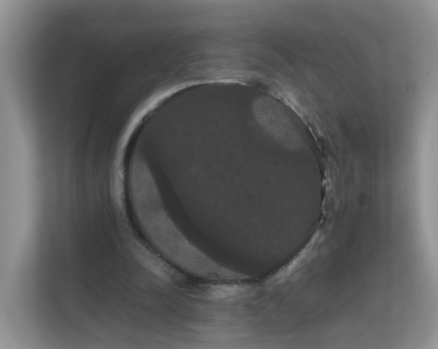 X0000111860342200908131503