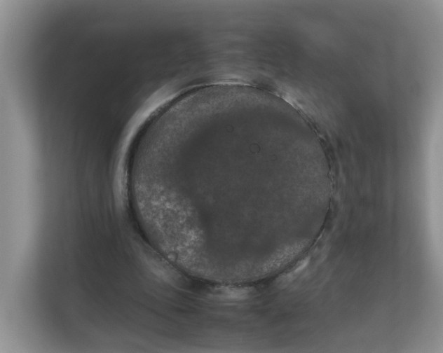 X0000111860343200908131503