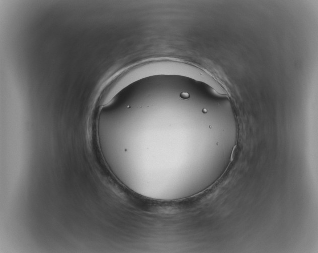 X0000111860344200908131503