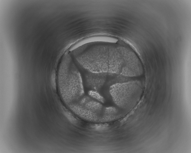 X0000111860345200908131503