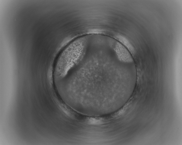 X0000111860346200908131503