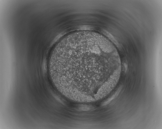 X0000111860347200908131503