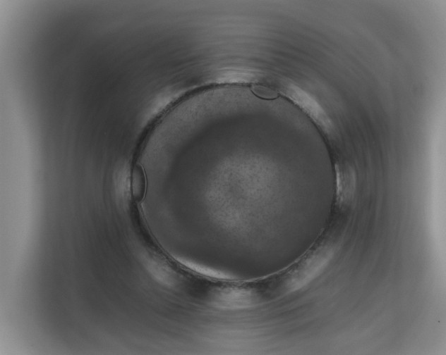 X0000111860348200908131504