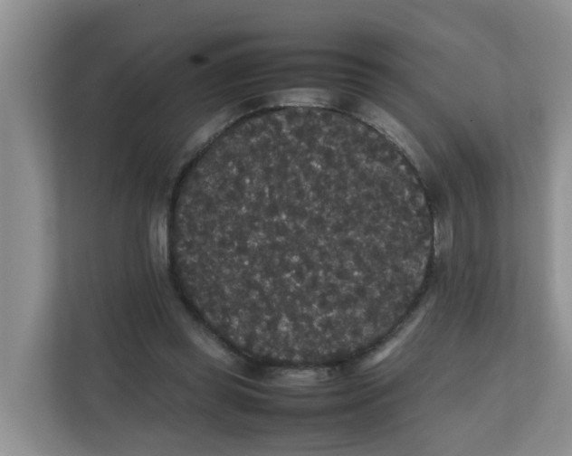 X0000111860349200908131504