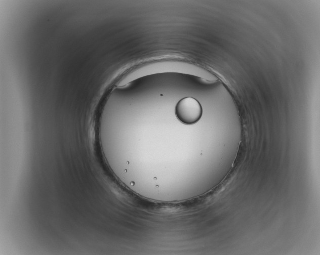 X0000111860350200908131504