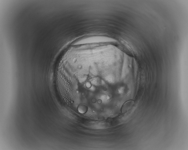 X0000111860351200908131504