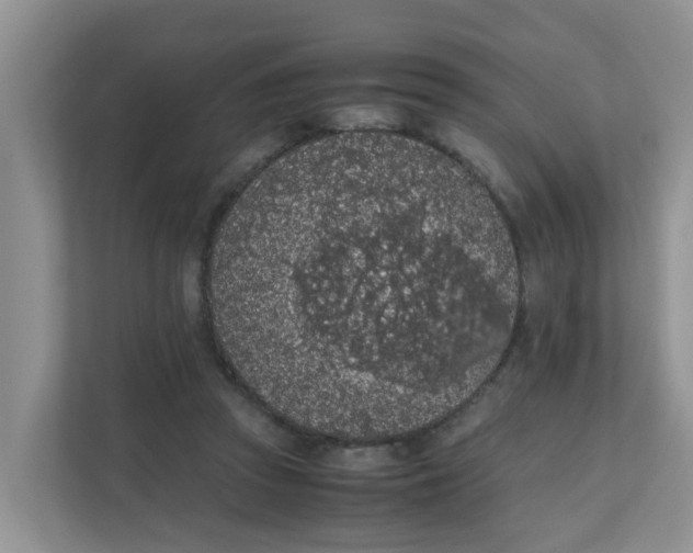 X0000111860353200908131504