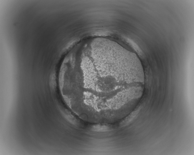 X0000111860354200908131504