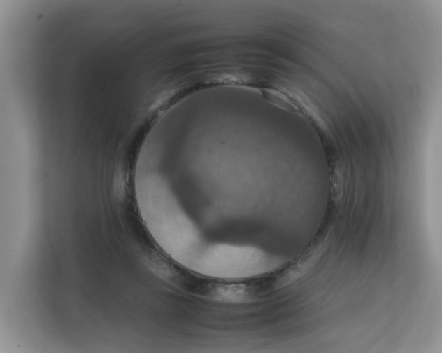 X0000111860355200908131504